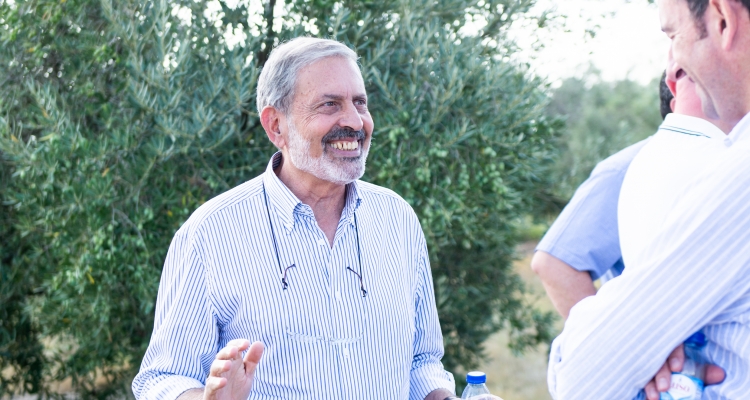 Dolce Ambassadors Picking olives with Dolce Partner, Vale de Arca ,Portugal 2018