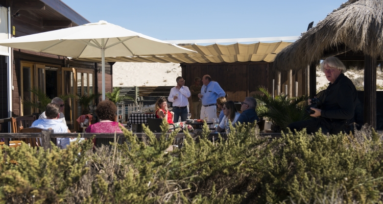 Cueillir des Olives Chez le partenaire Dolce , Vale de arca  à Alentejo Portugal  2017