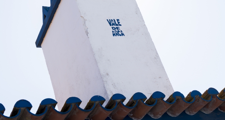 Olijven plukken bij Dolce Partner Vale de Arca in Alentejo Portugal 2017